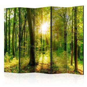 Paraván Forest Rays Dekorhome 225x172 cm (5-dielny)
