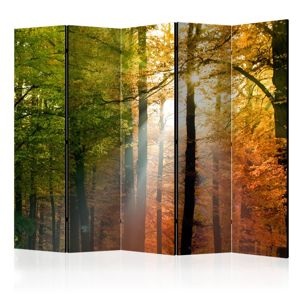 Paraván Forest Colours Dekorhome 225x172 cm (5-dielny)