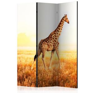 Paraván giraffe - walk Dekorhome 135x172 cm (3-dielny)