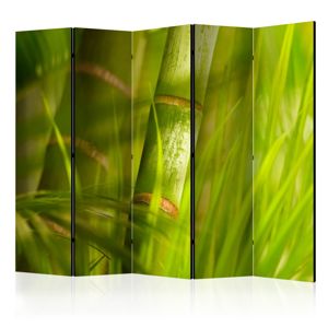 Paraván Bamboo - nature zen Dekorhome 225x172 cm (5-dielny)