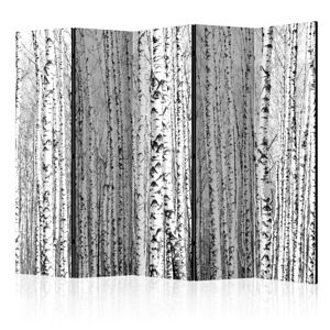 Paraván Birch forest Dekorhome 225x172 cm (5-dielny)