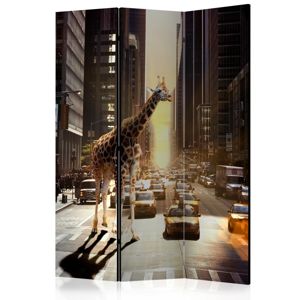 Paraván Giraffe in the Big City Dekorhome 135x172 cm (3-dielny)